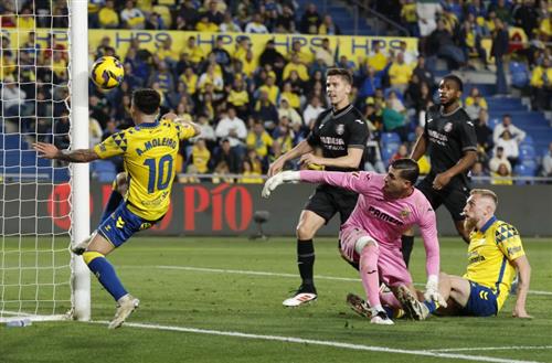 Best Online Sport Betting with Betking